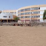 Kano Govt Intervenes After ‘The Historica Nigeria’ Exposes Alleged Tree Felling at ARTV