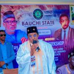 Bauchi Govt Moves To Tackle Illegal Mining, Security Challenges